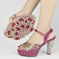 New Italian Party Shoes and Bag Set TYR56