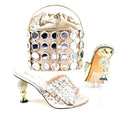 Lastest Italian Style Ladies Shoes with Matching Bag Set HRT1-26