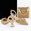 Hot Matching Women Shoe and Bag Set EDHFG1-1