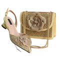 Elegant Lady Shoes And Bag Set EW452