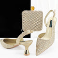 Lastest Italian Design Ladies Shoes with Matching Bag Set HZS1-1