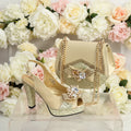 New Fashion Evening Shoes and Bag Set HTY543
