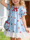 Children's Strawberry Gingham Dress with Matching Purse & Hat Set