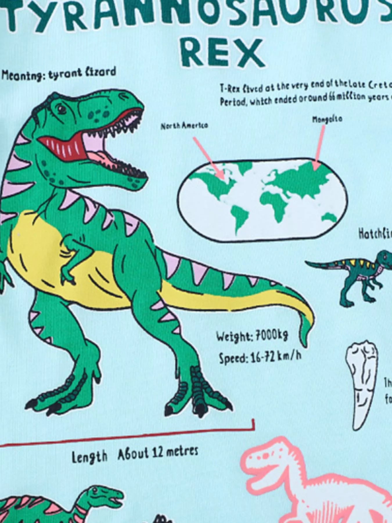 Children's Dinosaur Graphic Short Sleeve T-Shirt