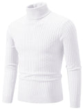 Men's Plus Size Ribbed Turtleneck Long Sleeve Sweater
