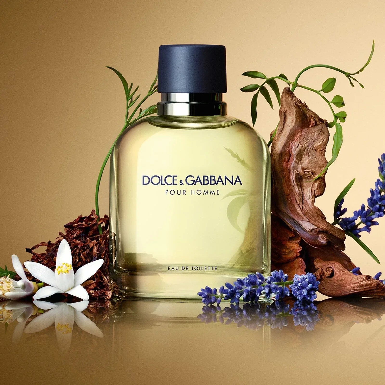 Dolce & Gabbana Pour Homme Eau de Toilette Spray for Men 6.7 oz