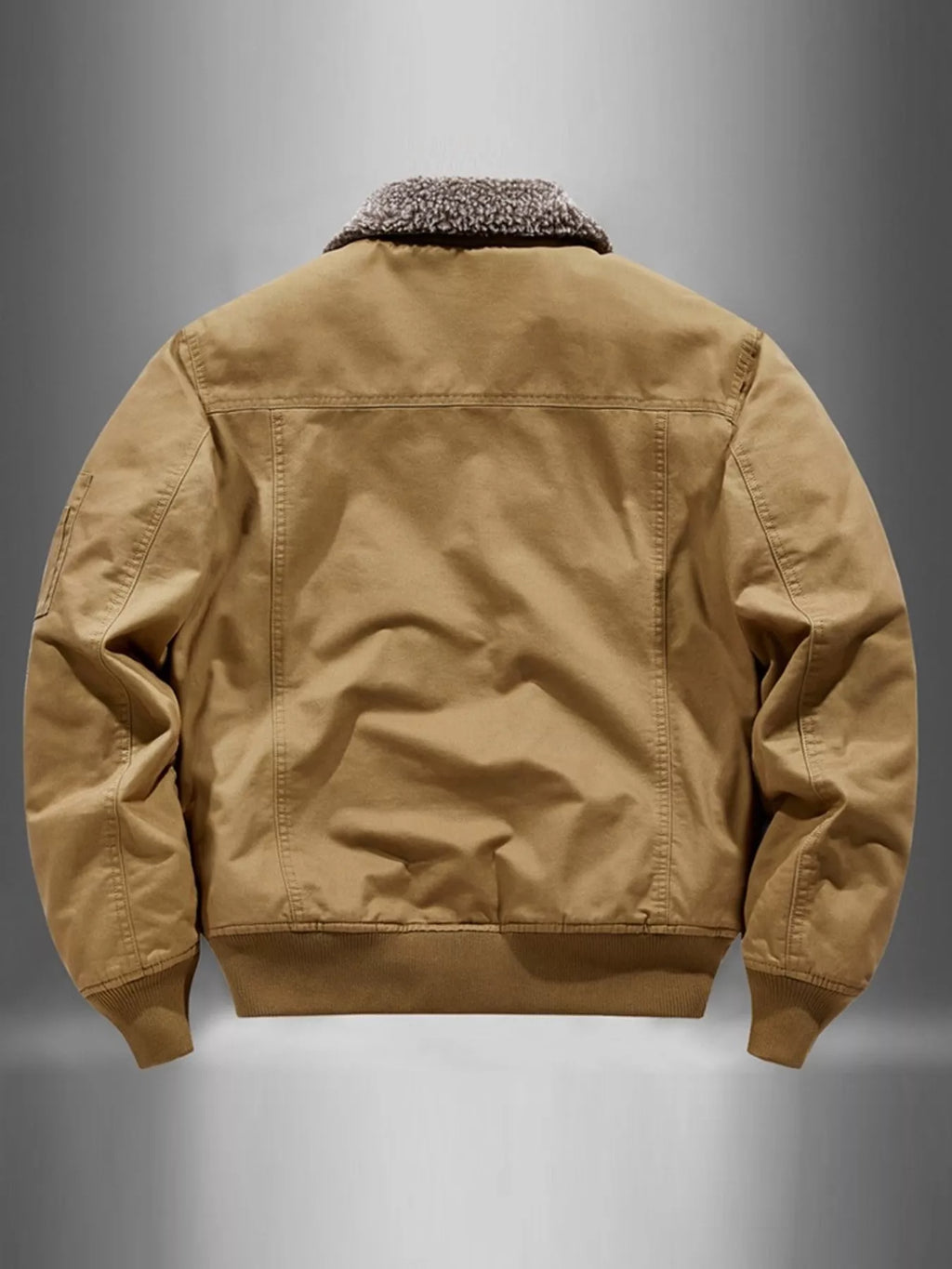 Men's Plus Size Zip Up Fur Collar Jacket