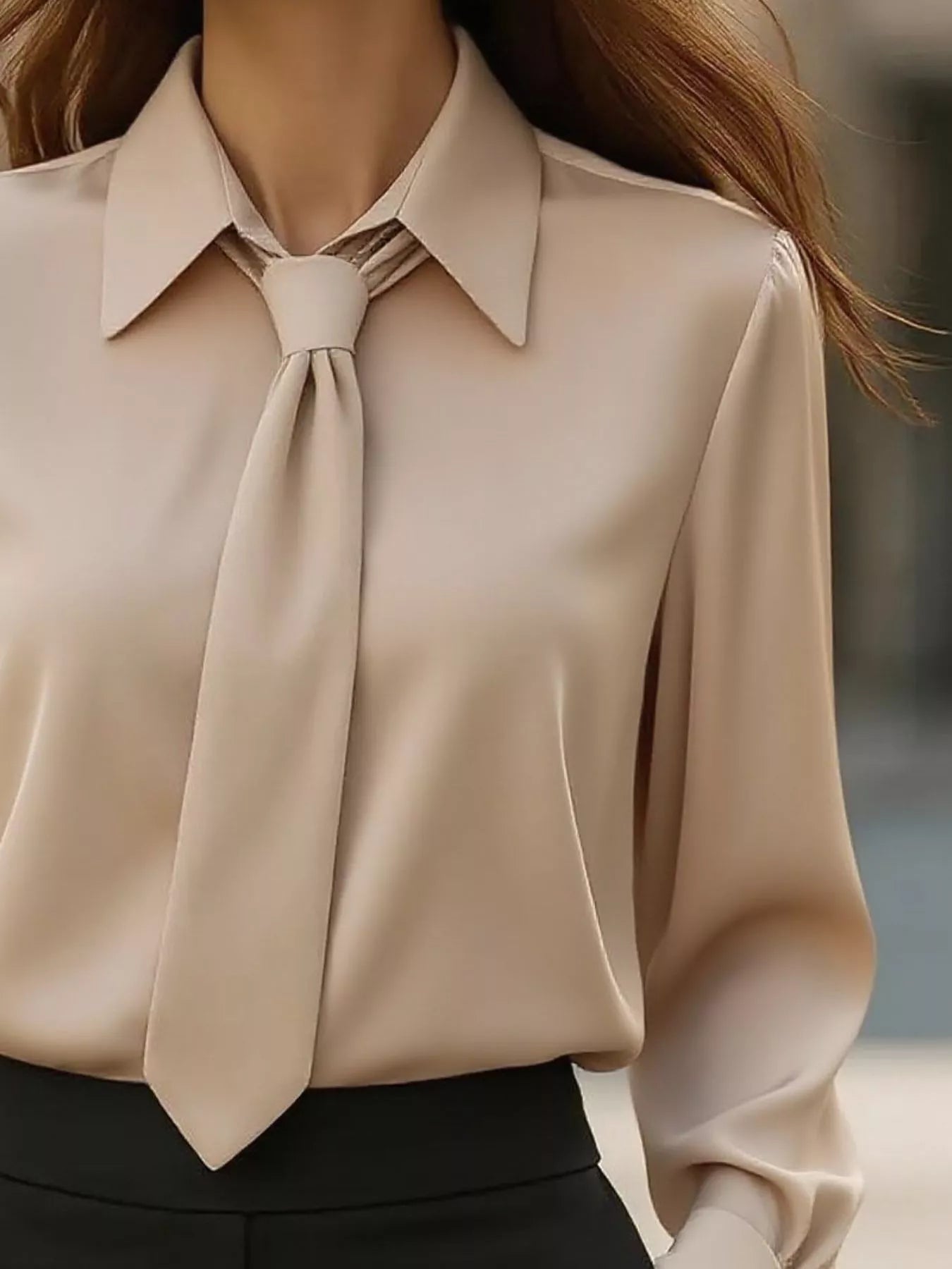 Collared Neck Long Sleeve Blouse