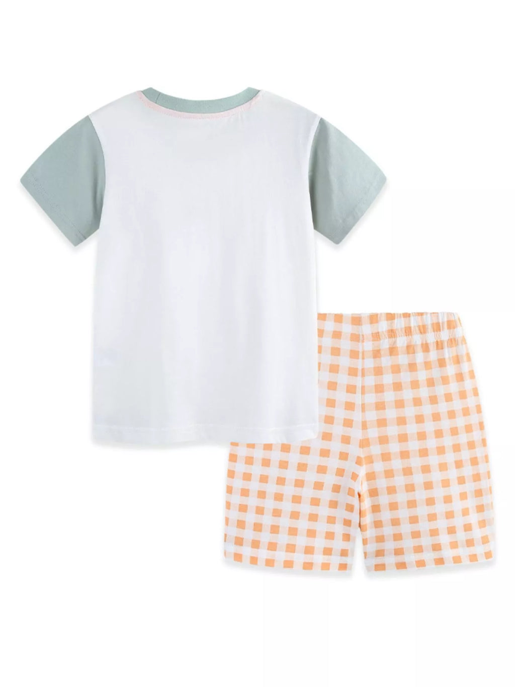 Children's Dinosaur Short Sleeve Tee and Shorts Set