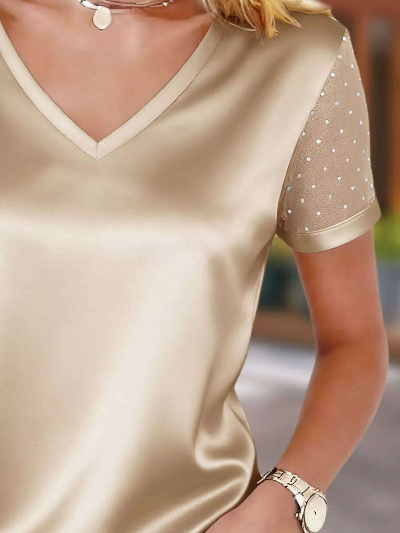 Sheer Sleeve V-Neck Top