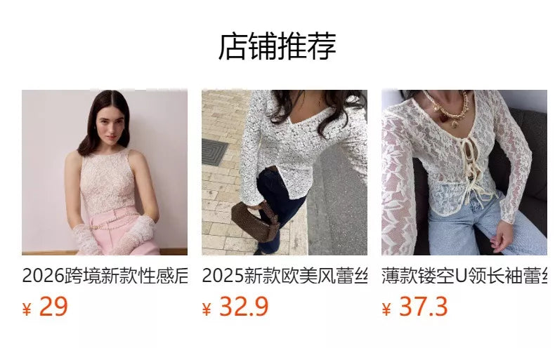 Lace Round Neck Long Sleeve Top