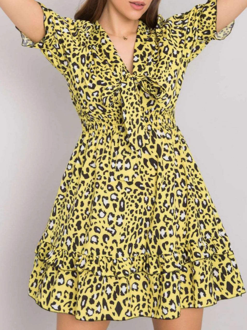 Leopard Print Tie Front Short Sleeve Mini Dress