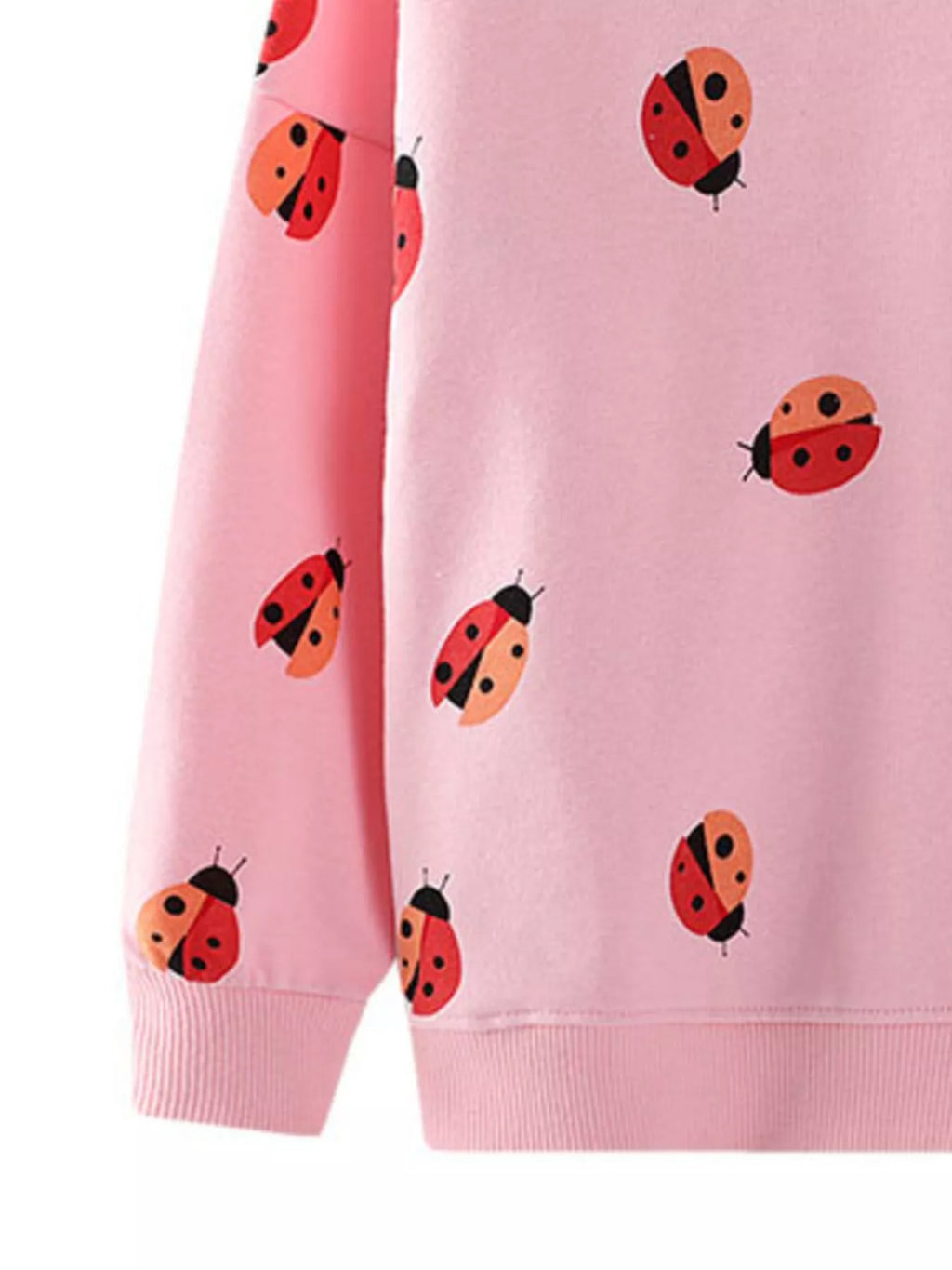 Children's Ladybug Print Crew Neck Sweatshirt