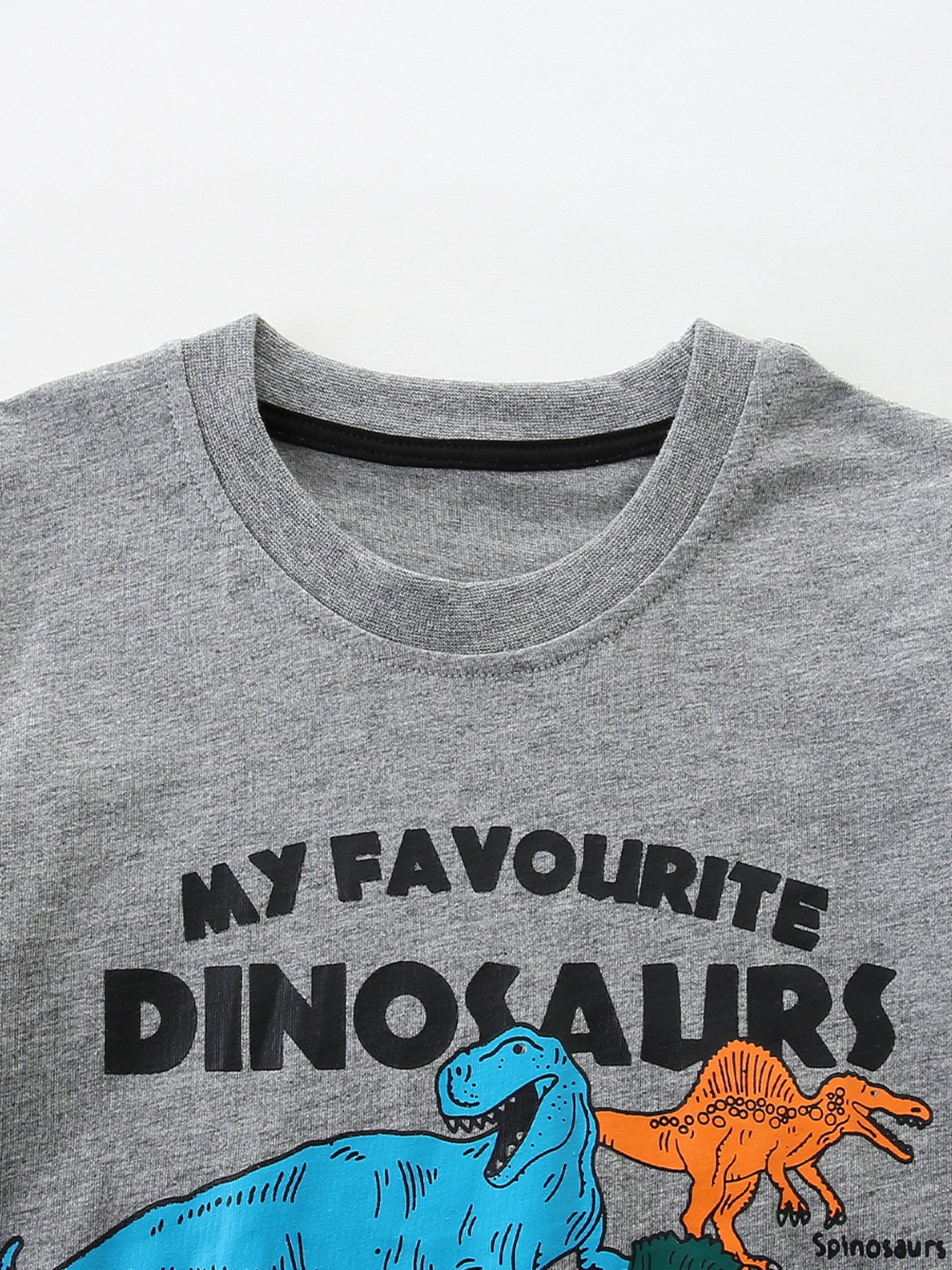 Children's Dinosaurs Graphic Short Sleeve T-Shirt