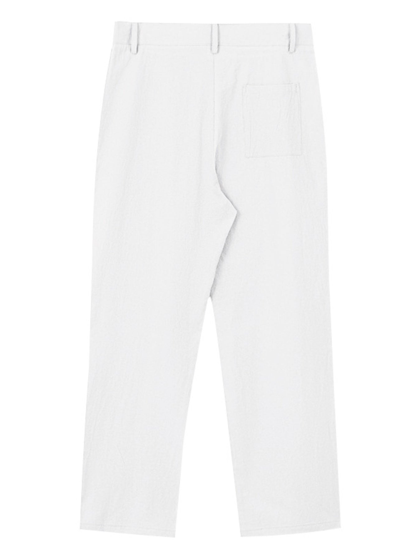 Men's Full Size Relaxed Fit Pleated Pants Plus Size