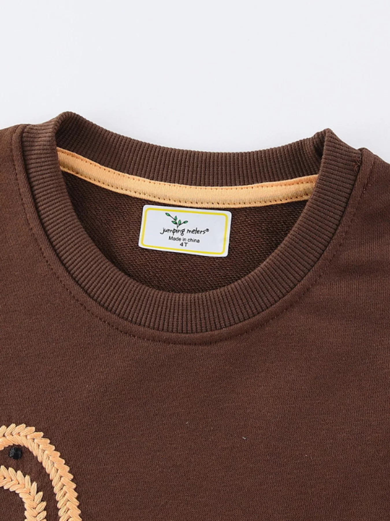 Children's Dinosaur Embroidered Crew Neck Sweatshirt