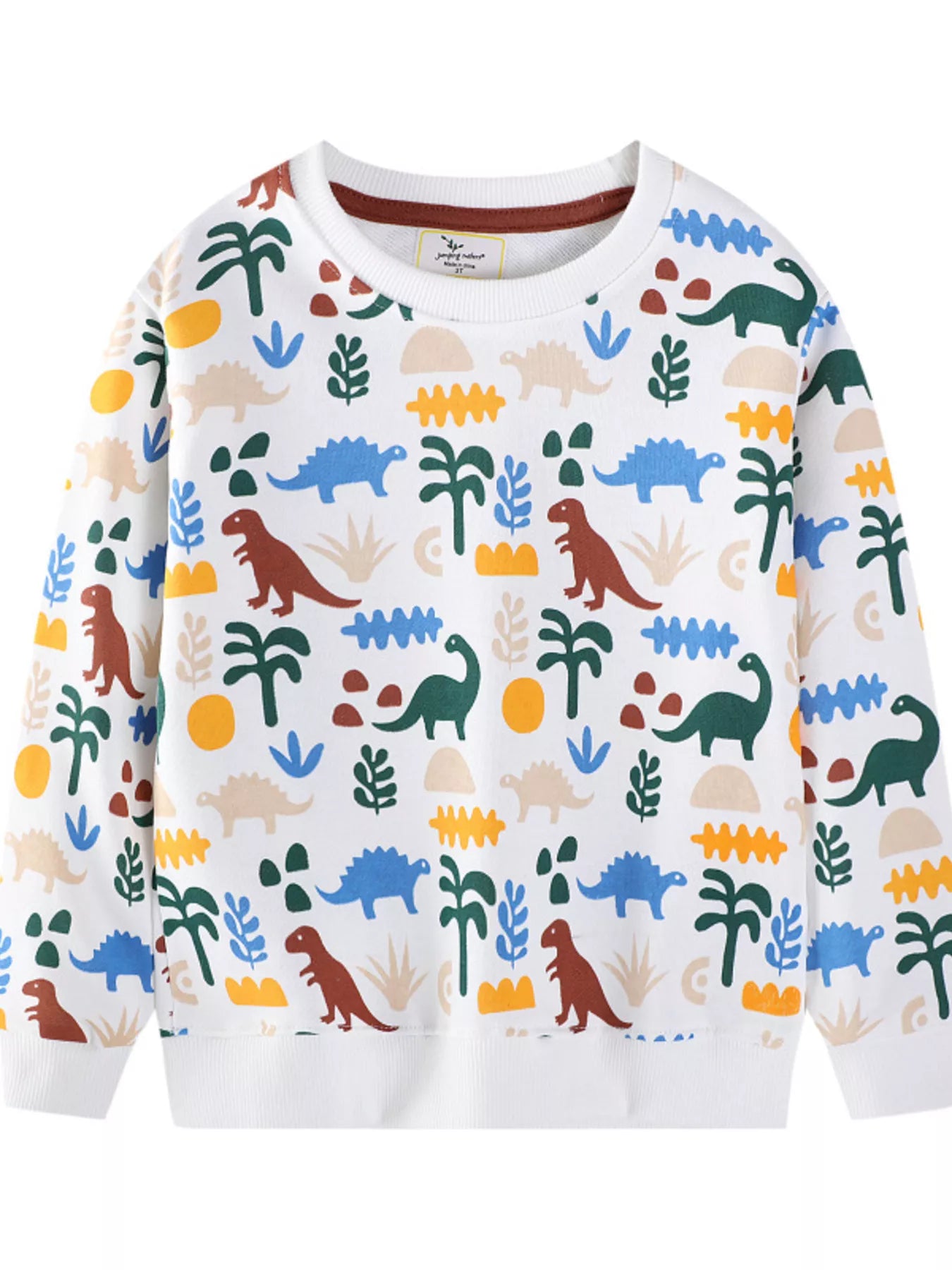 Children's Dinosaur Print Crew Neck Sweatshirt