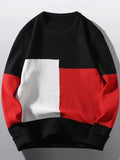 Men's Plus Size Color Block Round Neck Sweater