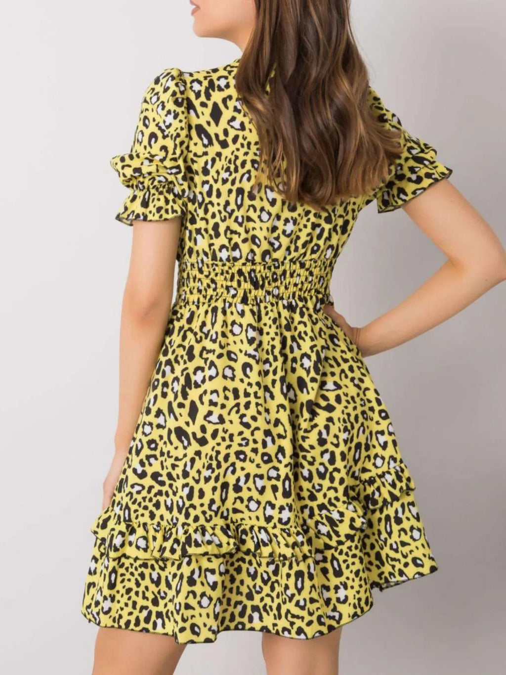 Leopard Print Tie Front Short Sleeve Mini Dress