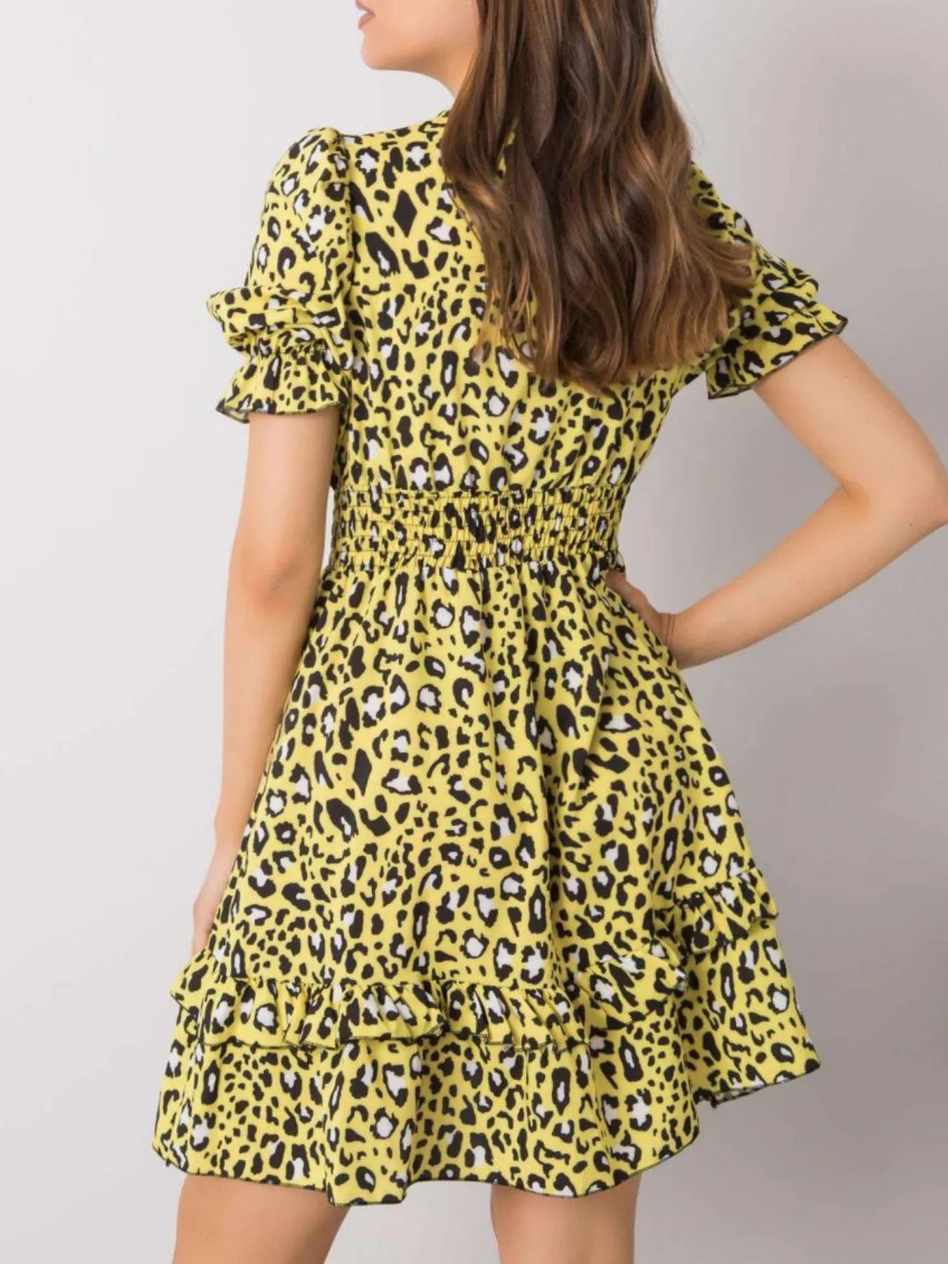 Leopard Print Tie Front Short Sleeve Mini Dress