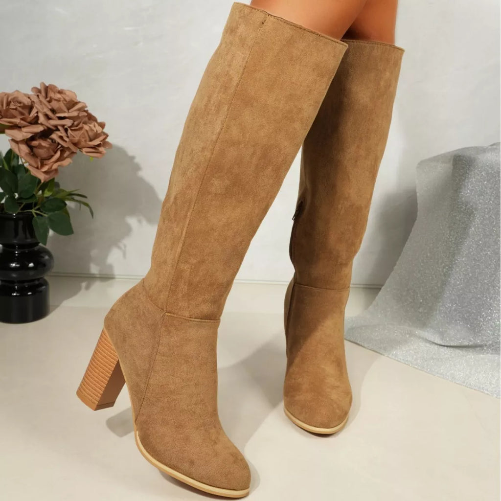 Point Toe Block Heels Boots
