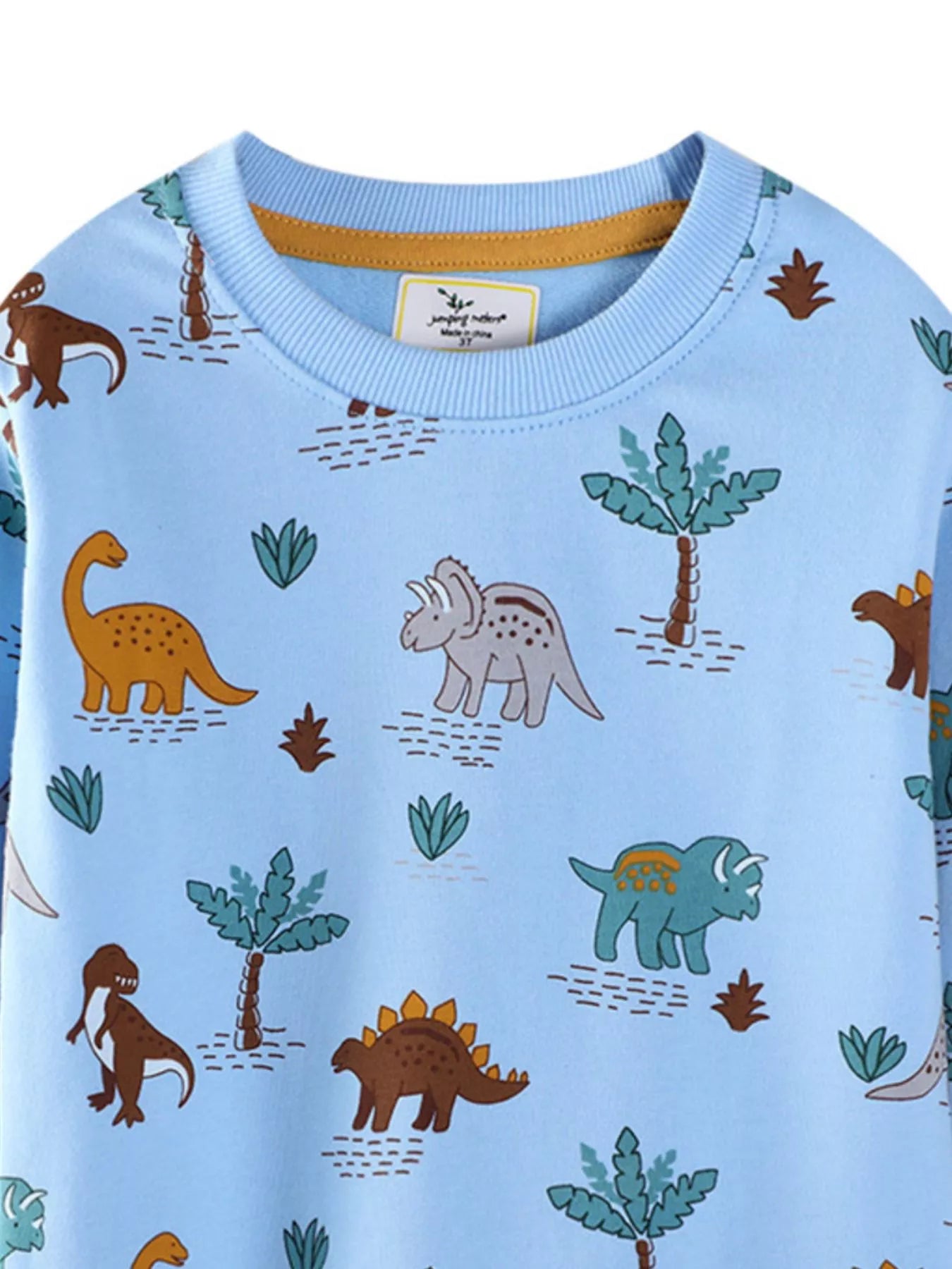 Children's Dinosaur Print Crew Neck Sweatshirt