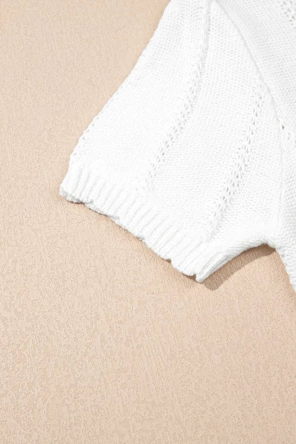 Openwork Round Neck Short Sleeve Knit Top