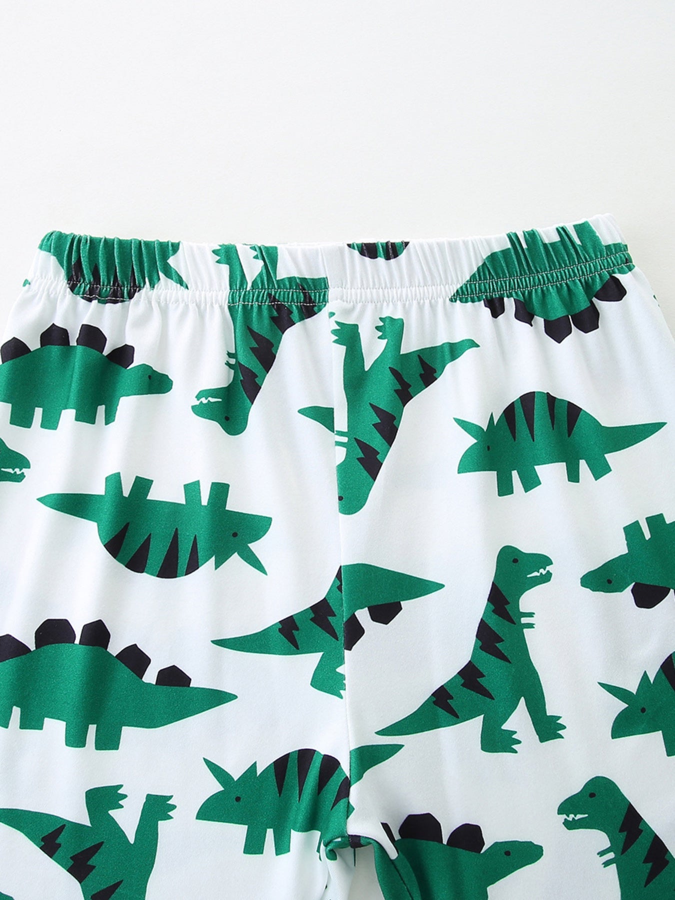 Children's Dinosaur Print Casual Tee and Shorts Set