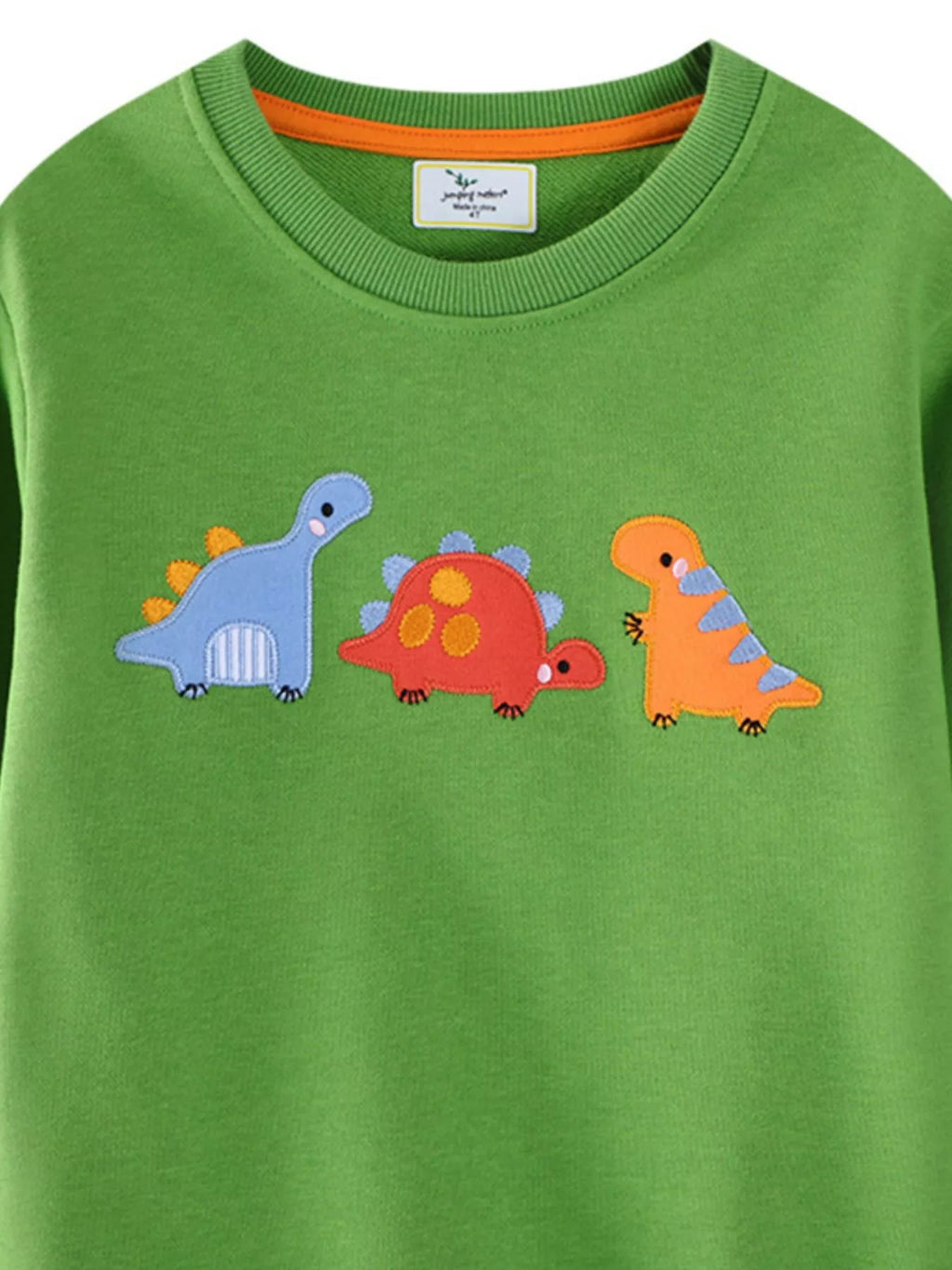 Children's Dinosaur Embroidered Crew Neck Sweatshirt
