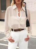 Elegant Sheer Long Sleeve Shirt