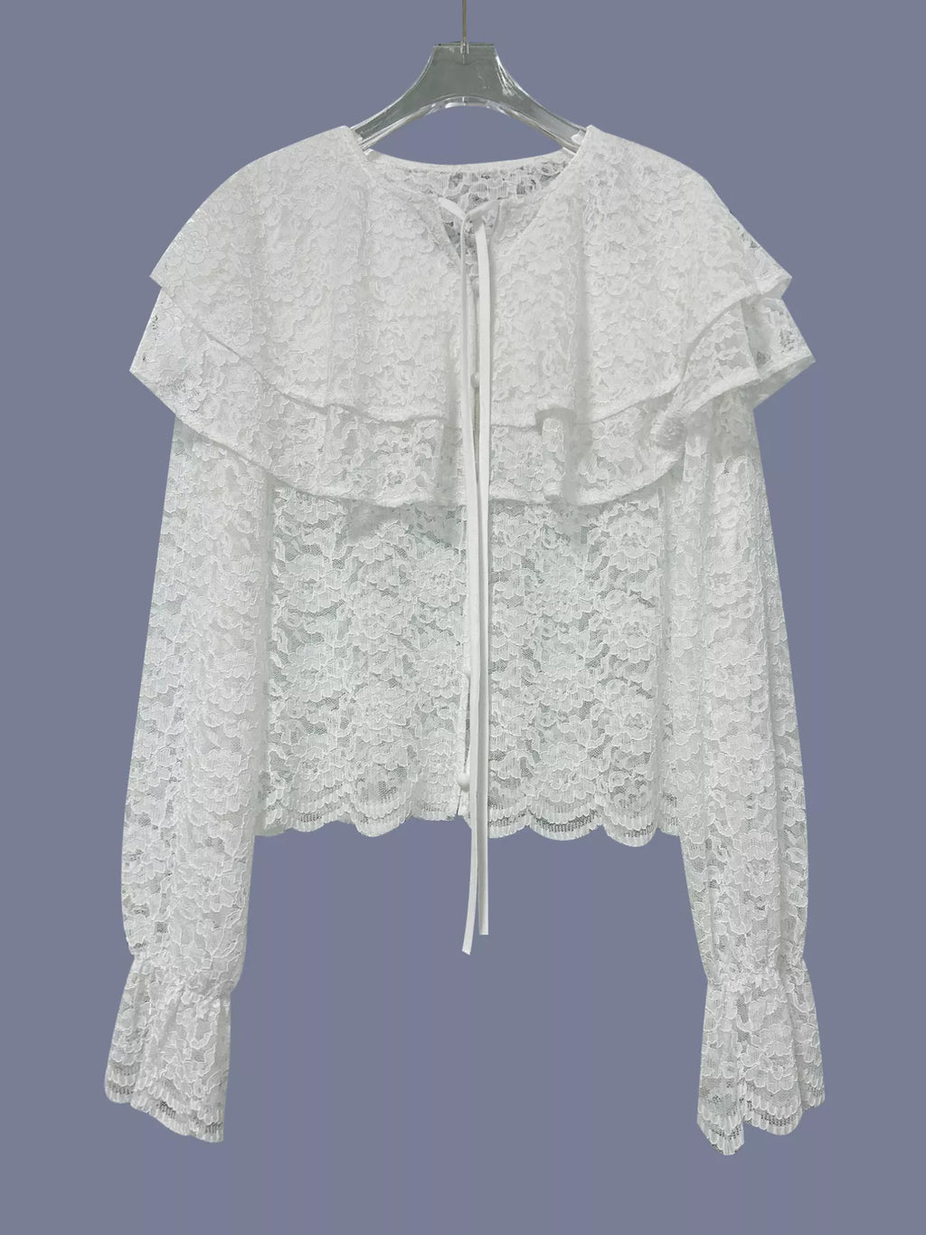 Ruffled Lace Flounce Sleeve Blouse