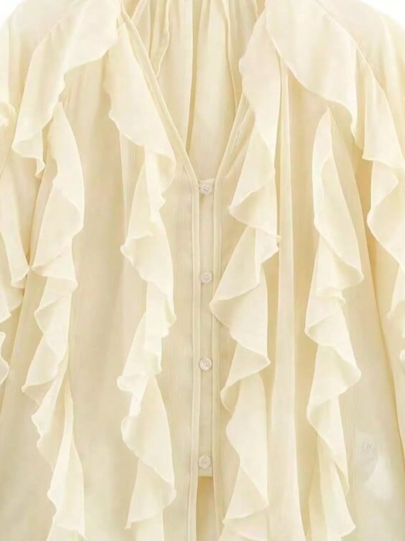 Ruffled Sheer Long Sleeve Blouse