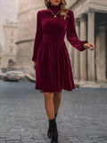 Velvet High Neck Long Sleeve A-Line Dress