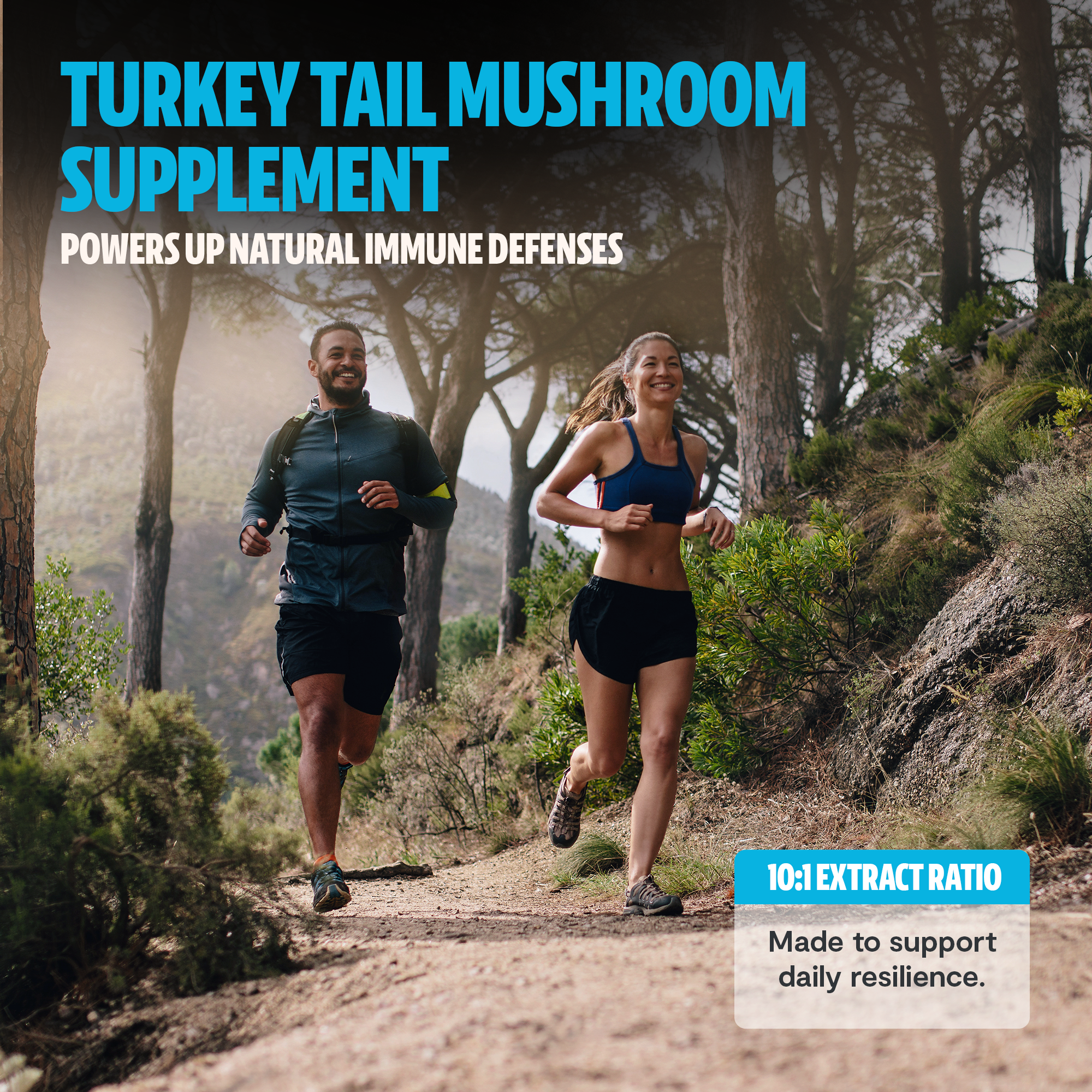 Organic Turkey Tail Mushroom Capsules