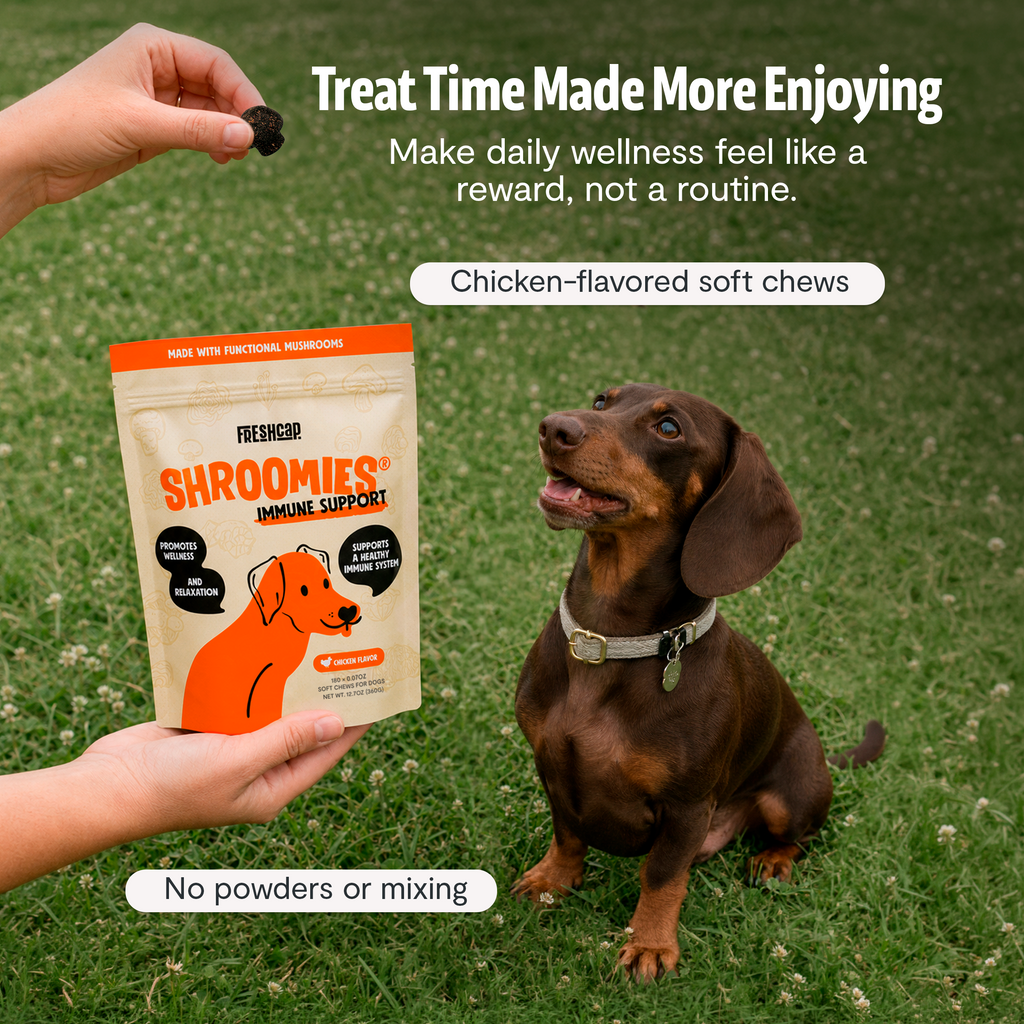 Organic Mushroom Complex for Dogs