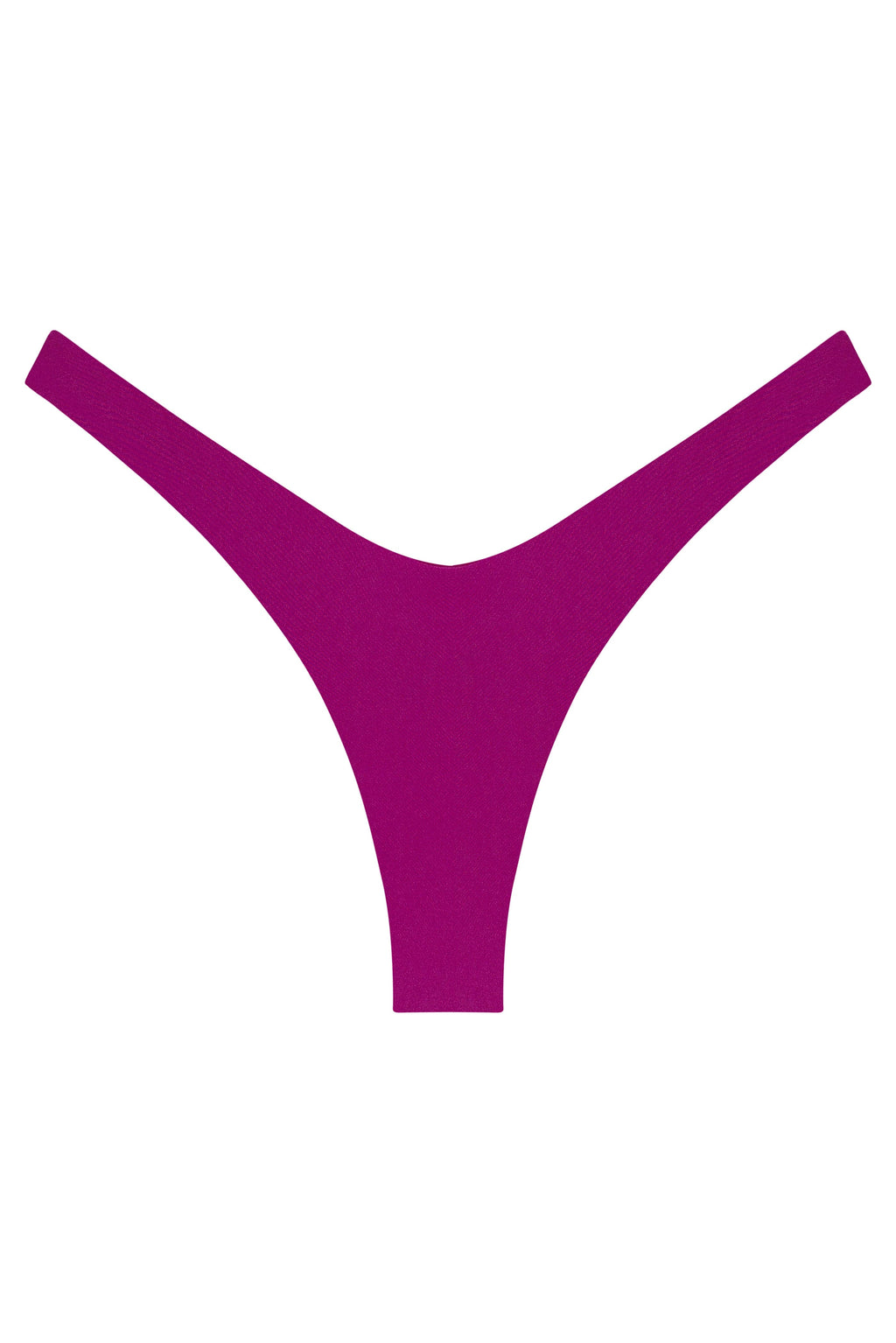 Ludisia Bottom