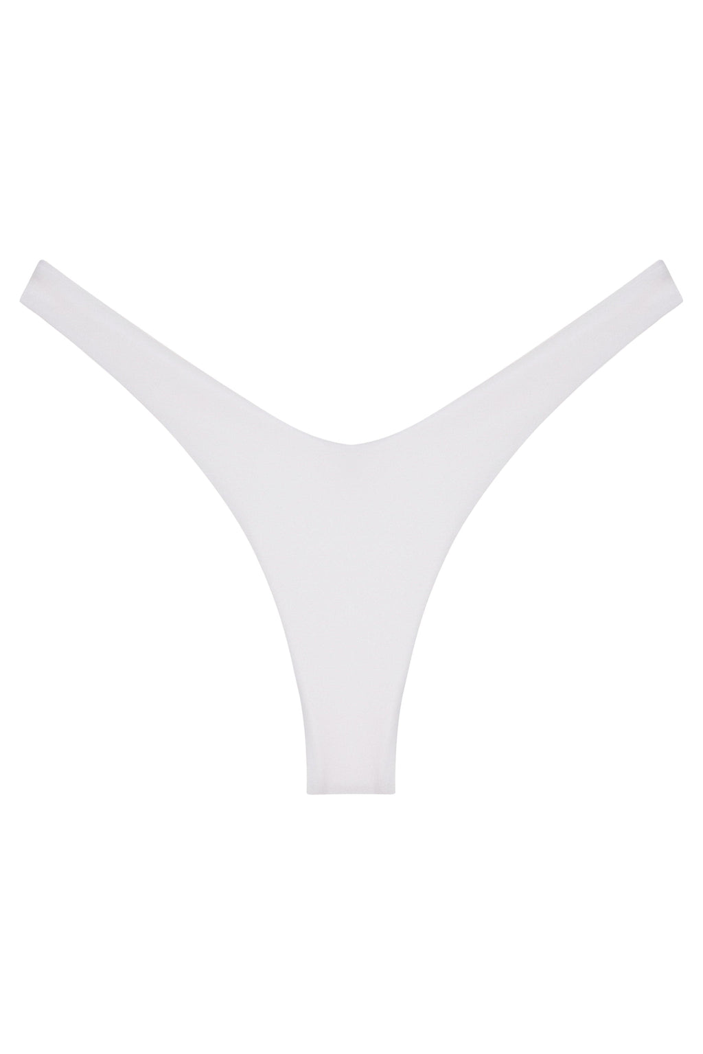 Ludisia Bottom