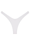 Ludisia Bottom